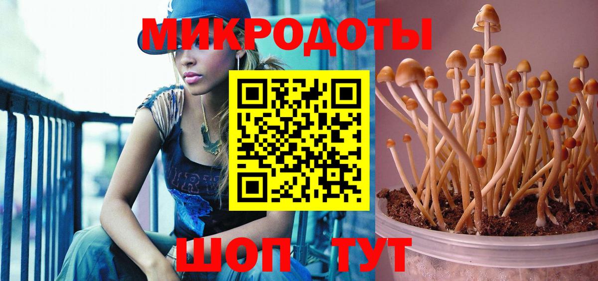 Псилоцибиновые грибы Psilocybine cubensis Железноводск